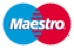 Maestro payments supported by Worldpay